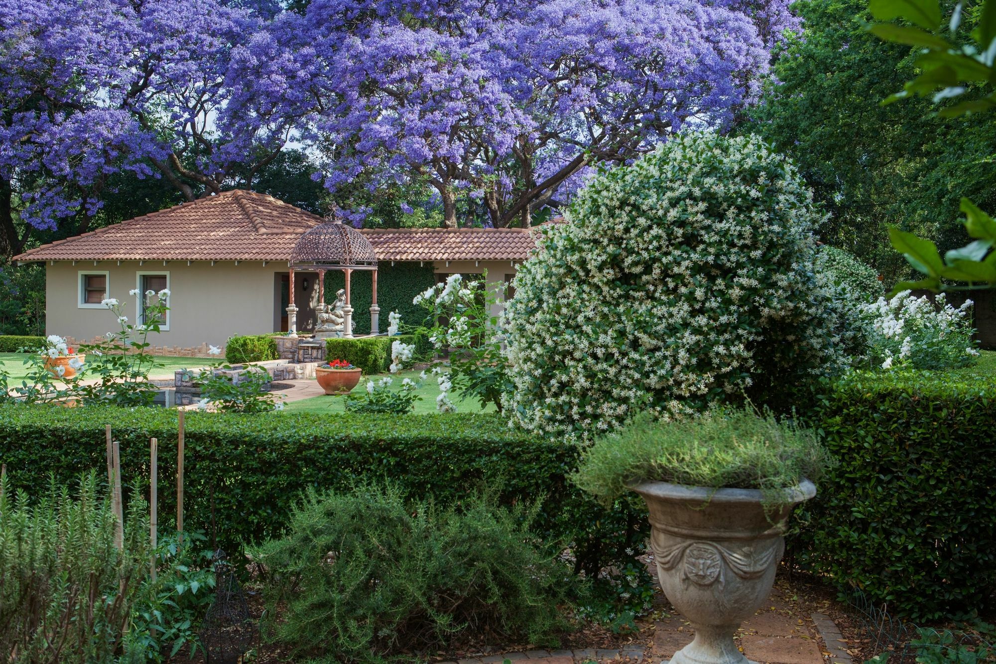 Bed and Breakfast 58 On Hume Johannesburg Exterior foto